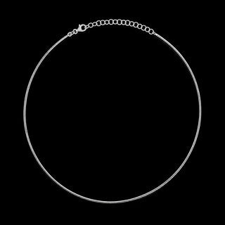 Omega Chain Necklace