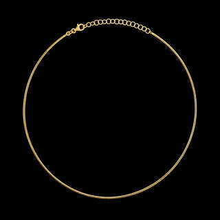 Omega Chain Necklace
